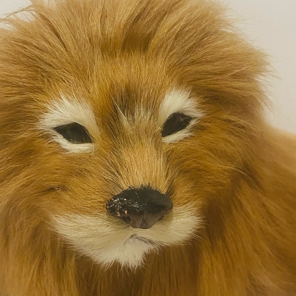 Vintage Lion Figurine Real Fur Glass Eyes Hair Sculpture Very Rare 9”-5” - Picture 3 of 12